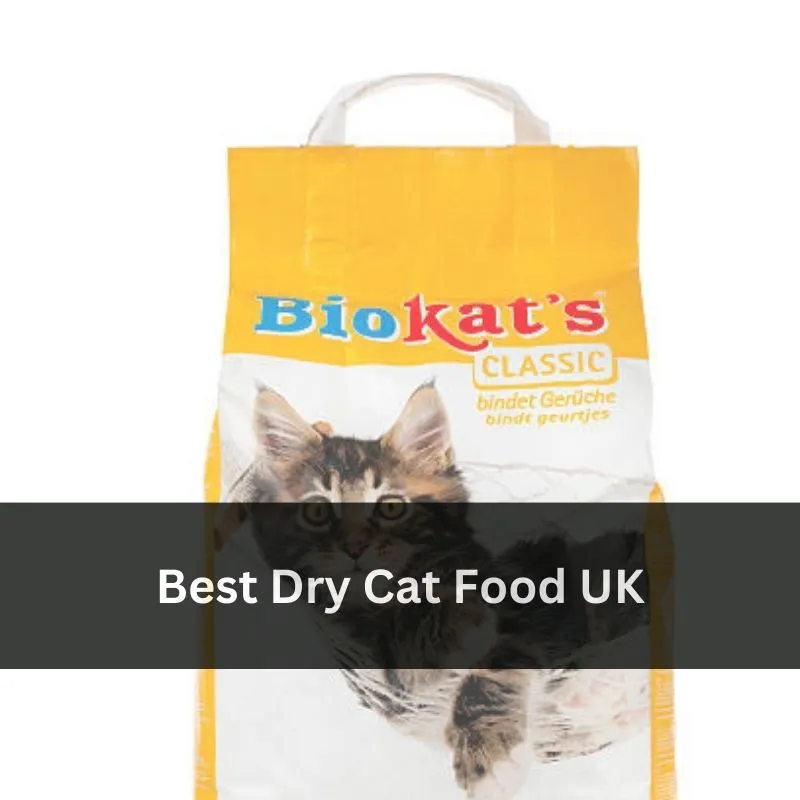 Best Dry Cat Food UK